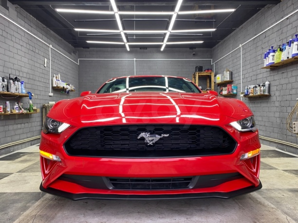 Ford Mustang VI, 2019 г.