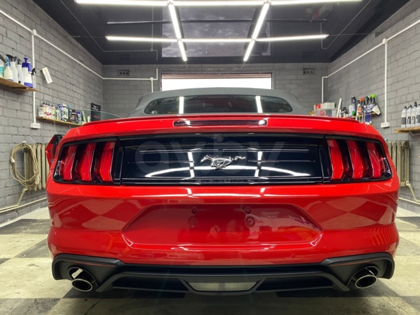 Ford Mustang VI, 2019 г.