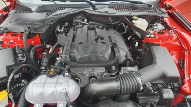 Ford Mustang VI, 2019 г.