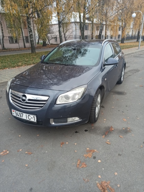 Opel Insignia I, 2010 г.