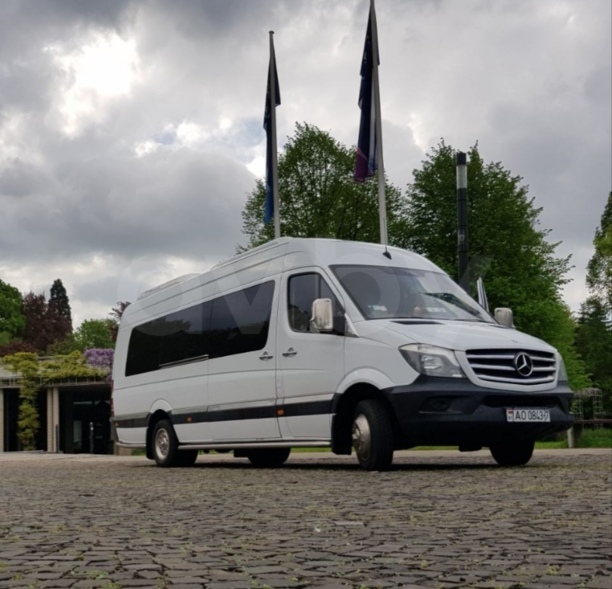 Mercedes-Benz Sprinter 515, 2014 г.