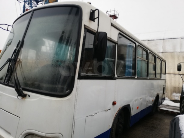 ПАЗ 4230, 2006 г.