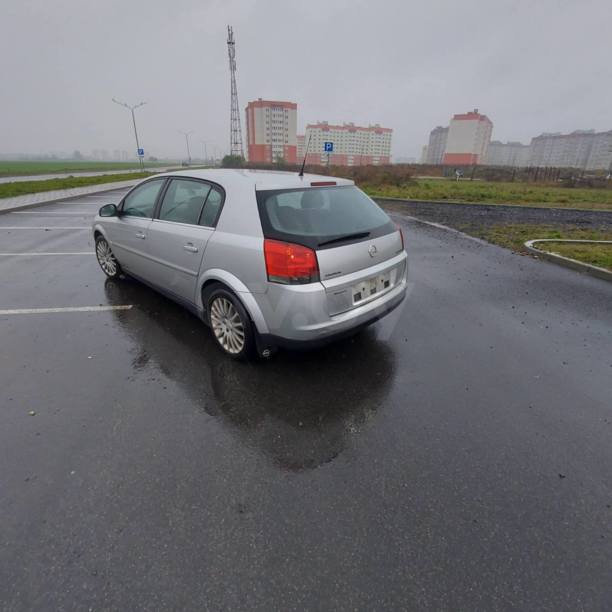 Opel Signum I, 2005 г.