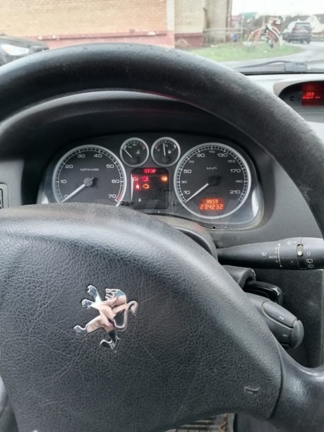 Peugeot 307 I, 2004 г.