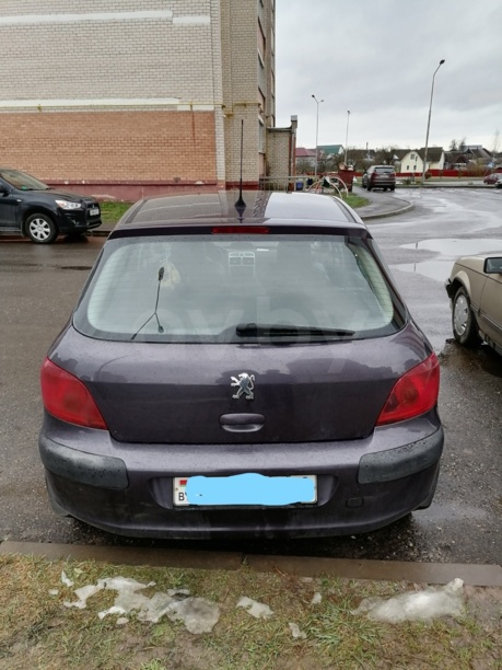 Peugeot 307 I, 2004 г.