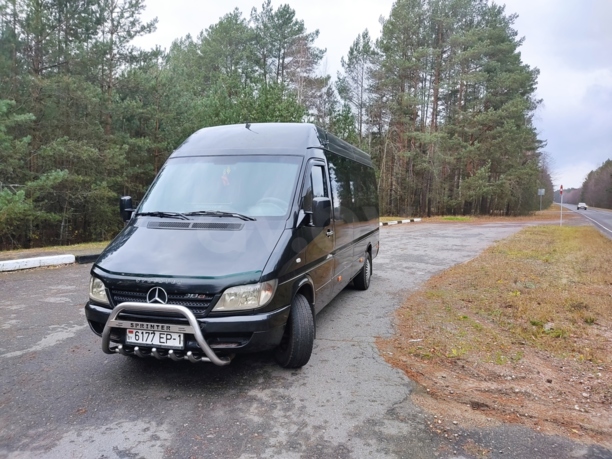 Mercedes-Benz Sprinter 313CDI, 2003 г.