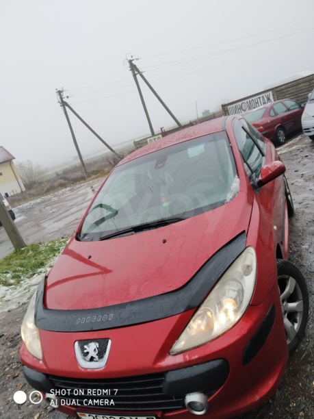 Peugeot 307 I · Рестайлинг, 2006 г.