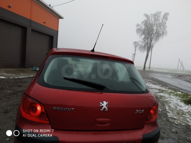 Peugeot 307 I · Рестайлинг, 2006 г.