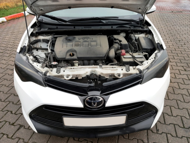 Toyota Corolla XI (E210), 2017 г.