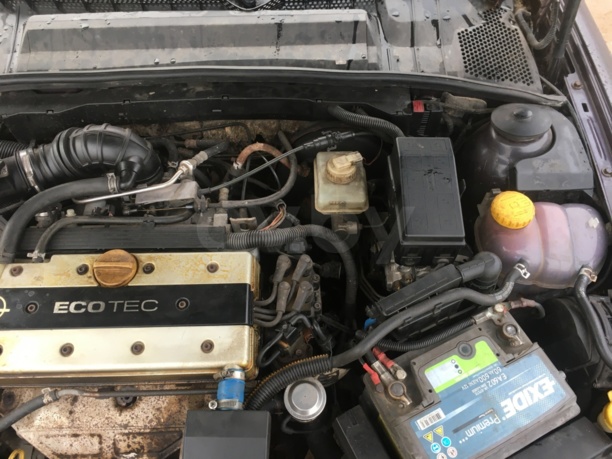 Opel Vectra B, 1996 г.