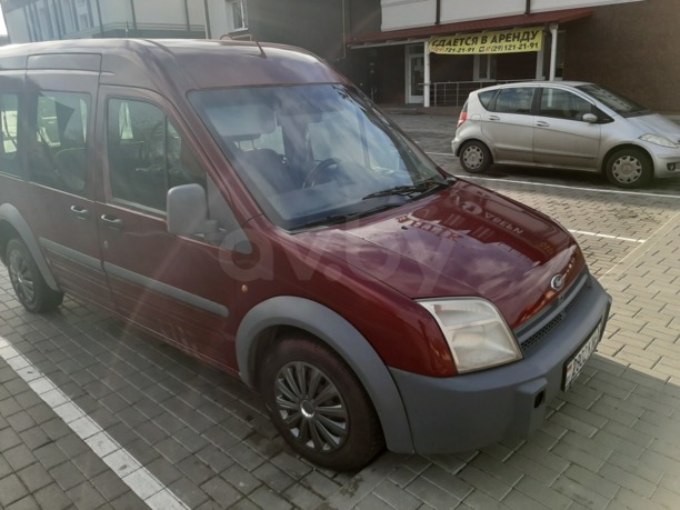 Ford Tourneo Connect I, 2006 г.