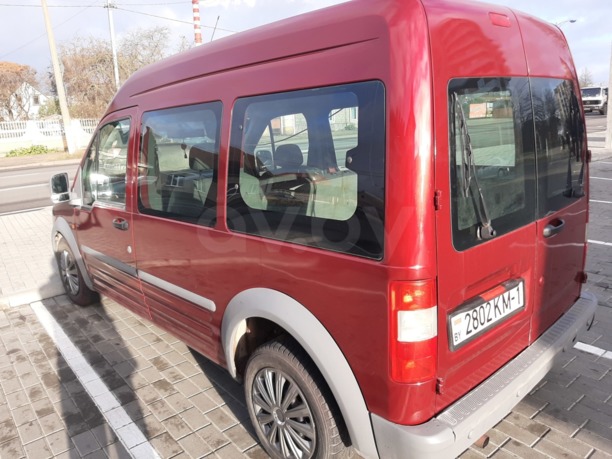 Ford Tourneo Connect I, 2006 г.