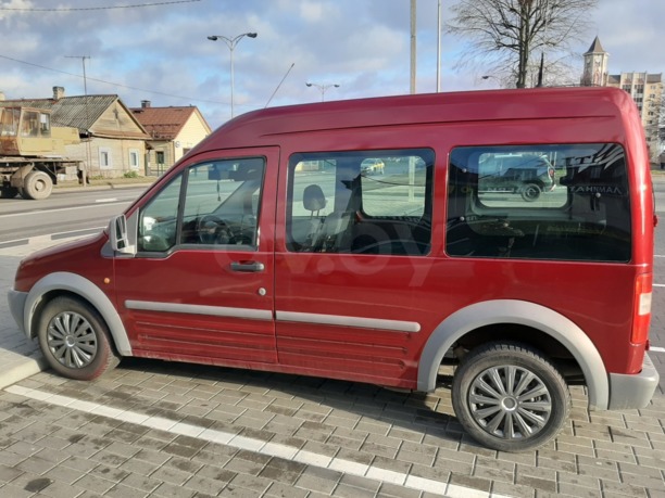 Ford Tourneo Connect I, 2006 г.