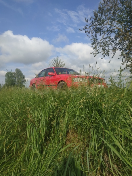 Audi 100 4A, C4, 1991 г.