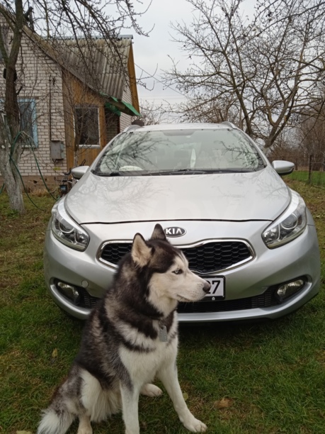 Kia Cee'd II · Рестайлинг, 2015 г.