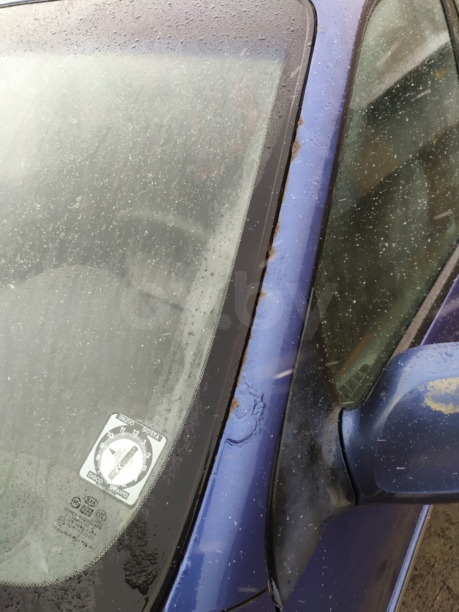 Kia Carnival I · Рестайлинг, 2002 г.