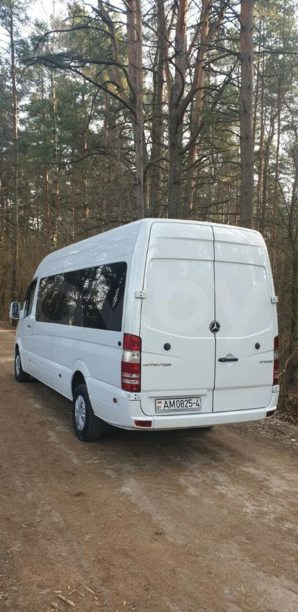 Mercedes-Benz Sprinter 315, 2009 г.