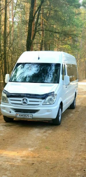 Mercedes-Benz Sprinter 315, 2009 г.