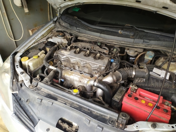 Nissan Primera P12, 2002 г.
