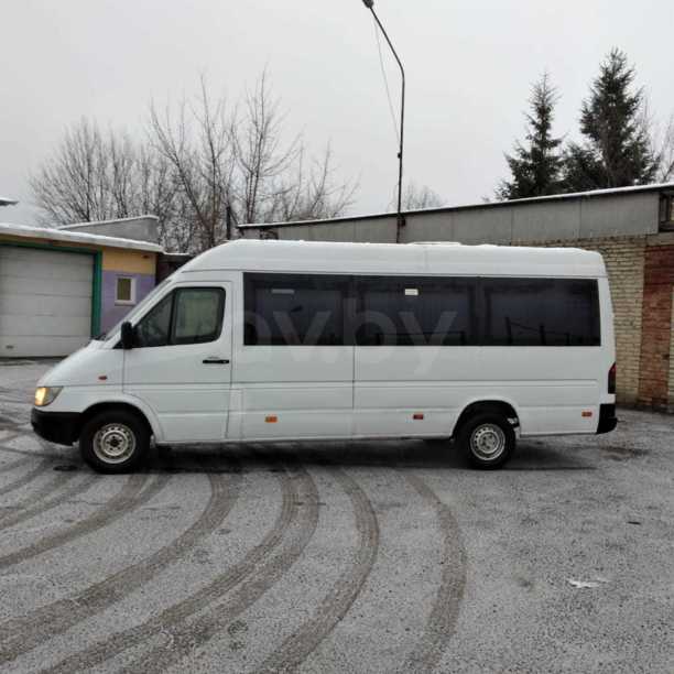 Mercedes-Benz Sprinter Altera, 2004 г.
