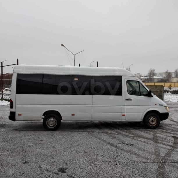 Mercedes-Benz Sprinter Altera, 2004 г.