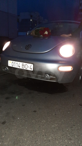 Volkswagen Beetle A4, 2000 г.