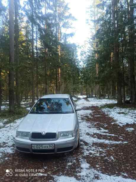 Skoda Octavia I · Рестайлинг, 2009 г.