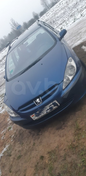 Peugeot 307 I, 2004 г.