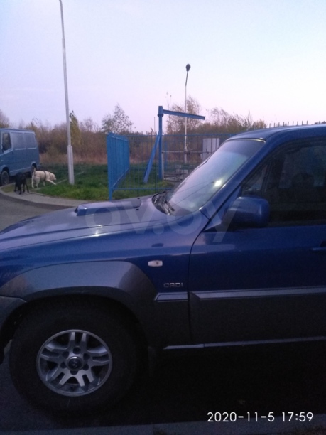 Hyundai Terracan I, 2002 г.