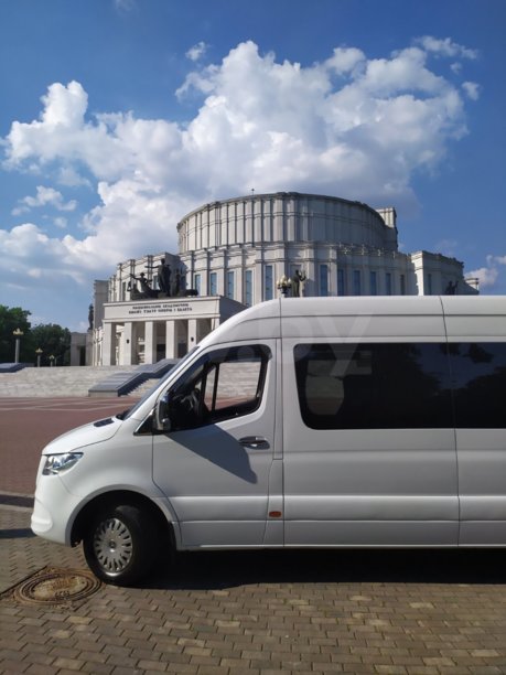 Mercedes-Benz Sprinter 311, 2019 г.