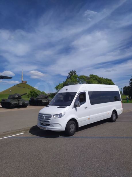 Mercedes-Benz Sprinter 311, 2019 г.
