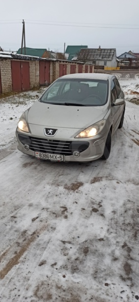 Peugeot 307 I · Рестайлинг, 2007 г.