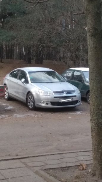 Citroen C5 II, 2008 г.