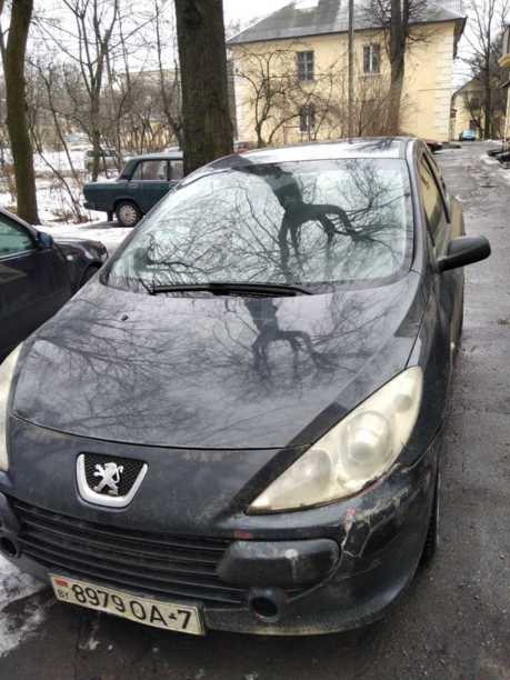 Peugeot 307 I · Рестайлинг, 2006 г.