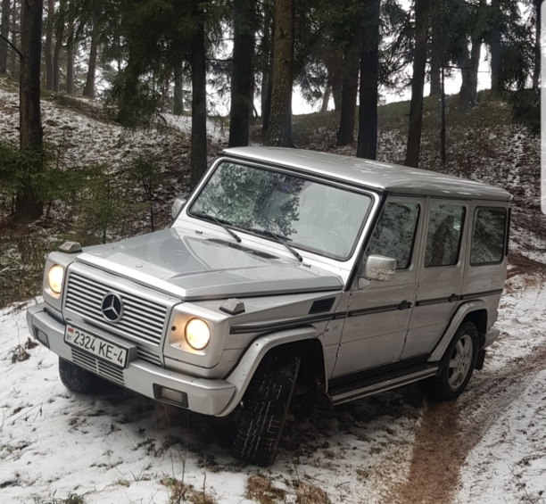 Mercedes-Benz G-Класс W463, 2002 г.