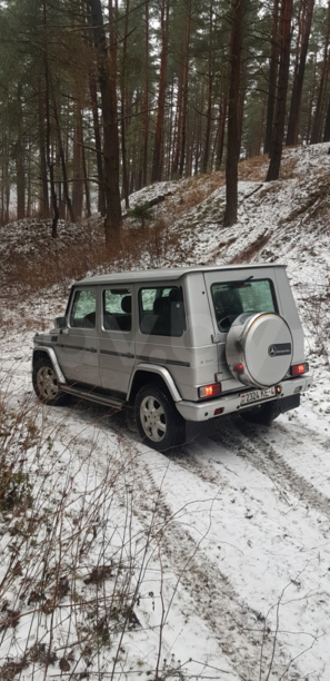 Mercedes-Benz G-Класс W463, 2002 г.