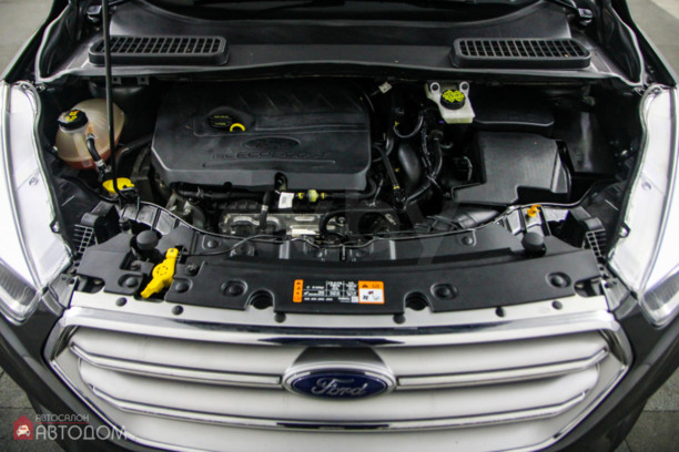 Ford Escape III · Рестайлинг, 2016 г.