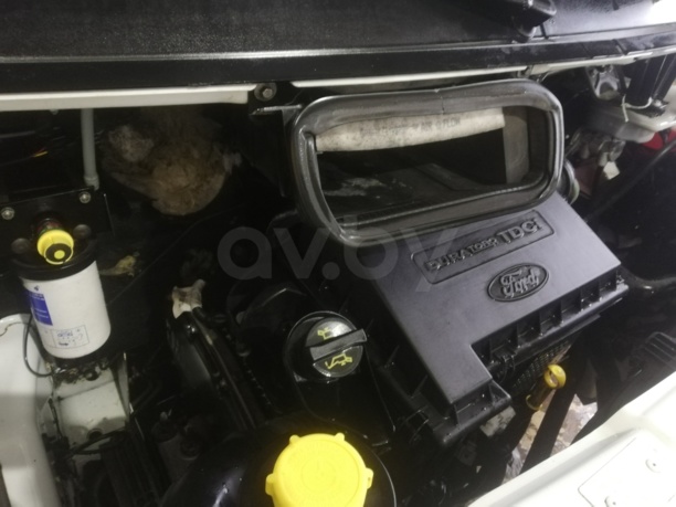 Ford Transit, 2009 г.