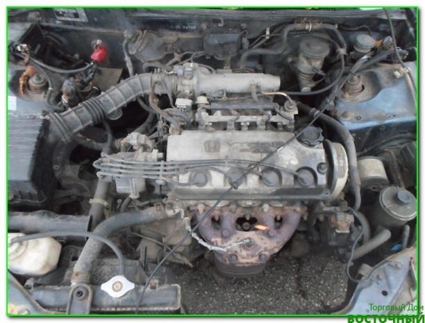 Honda Civic VI, 1995 г.