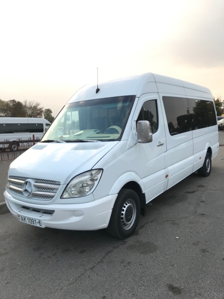 Mercedes-Benz Sprinter 311, 2008 г.