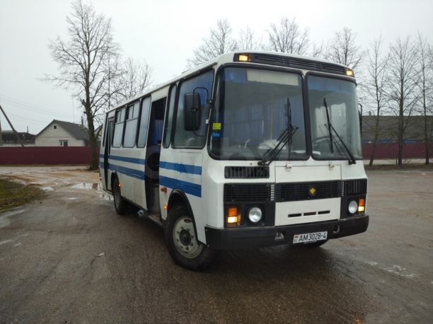 ПАЗ 4234 Д245Е2, 2004 г.