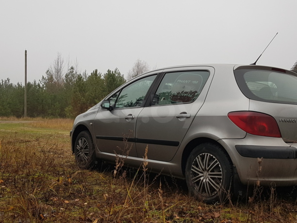 Peugeot 307 I, 2002 г.