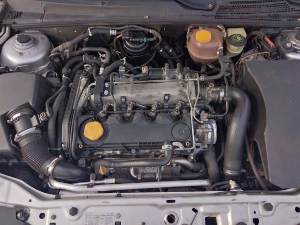 Opel Signum I · Рестайлинг, 2005 г.