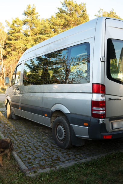 Mercedes-Benz Sprinter, 2009 г.