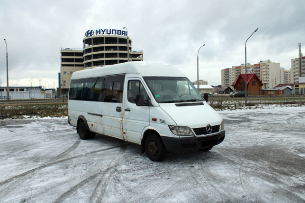 Mercedes-Benz Sprinter, 2009 г.