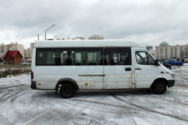 Mercedes-Benz Sprinter, 2009 г.