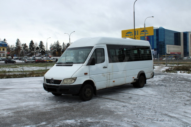 Mercedes-Benz Sprinter, 2009 г.