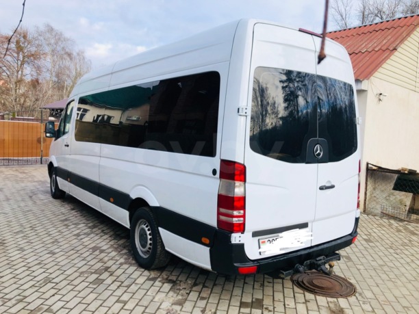 Mercedes-Benz Sprinter 316 Maxi, 2009 г.