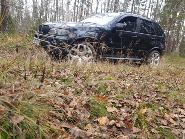 BMW X5 E53, 5 мест, 2004 г.