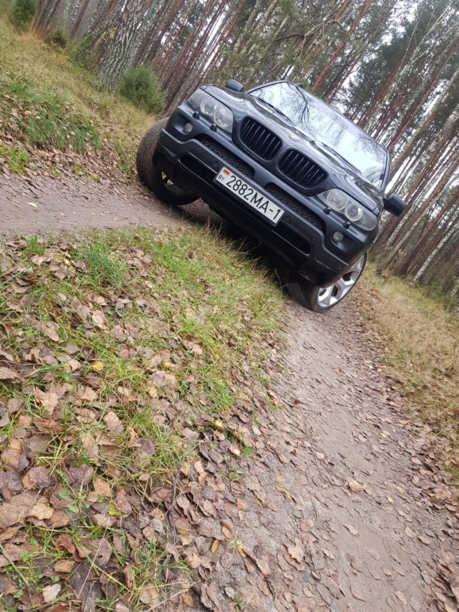 BMW X5 E53, 5 мест, 2004 г.